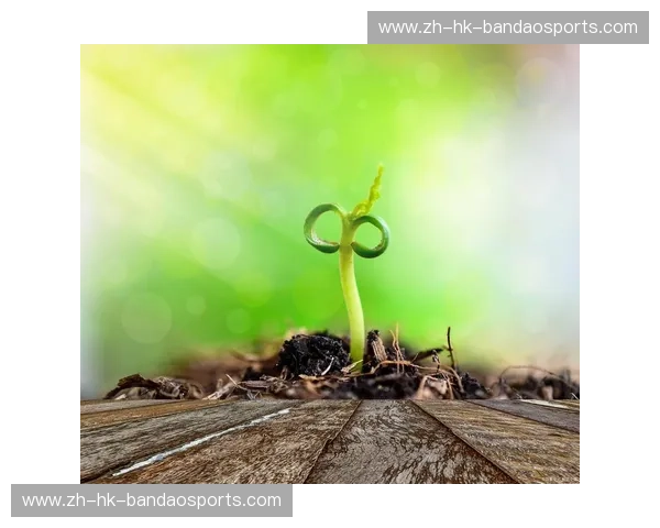 灵魂的齿轮与诗意的栖居：当奥林遇上瓦萨，你选择哪种定义未来的方式？